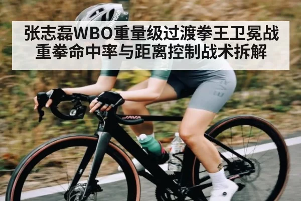 张志磊WBO重量级过渡拳王卫冕战重拳命中率与距离控制战术拆解